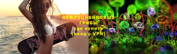 Альфа ПВП Абаза