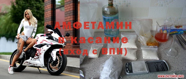 прущие грибы Алзамай