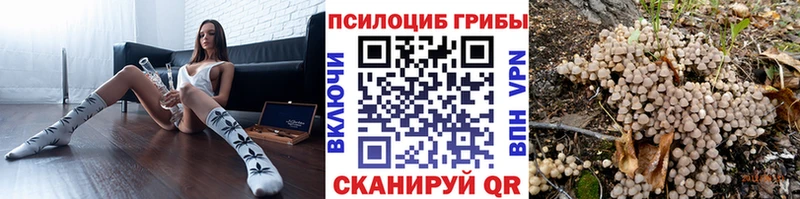 мега как зайти  Туринск  Псилоцибиновые грибы мицелий 